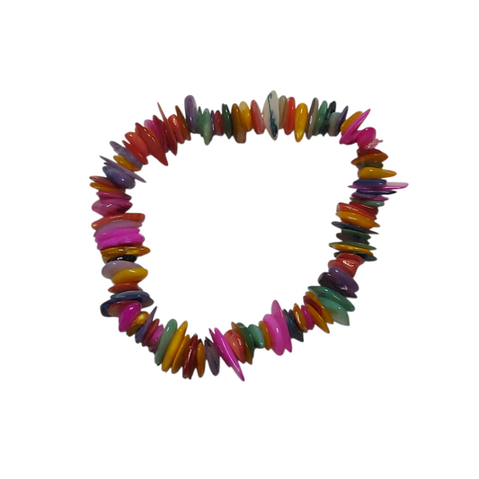 Bracelet Élastique en Nacre Teinte - Mix de Couleurs Vitaminées.