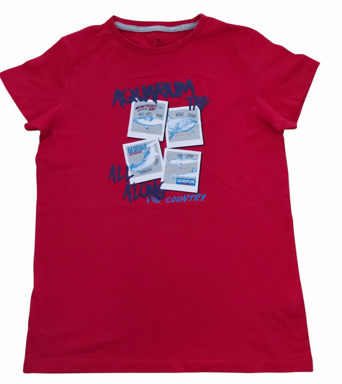 T-shirt 14 ans Tex